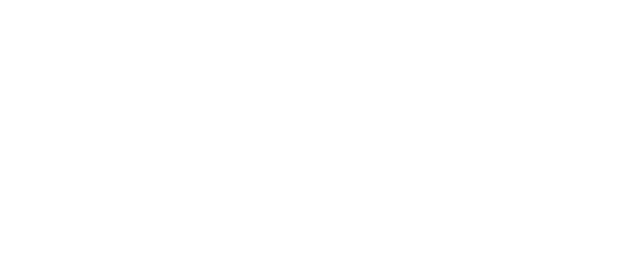 Royal Water Damage